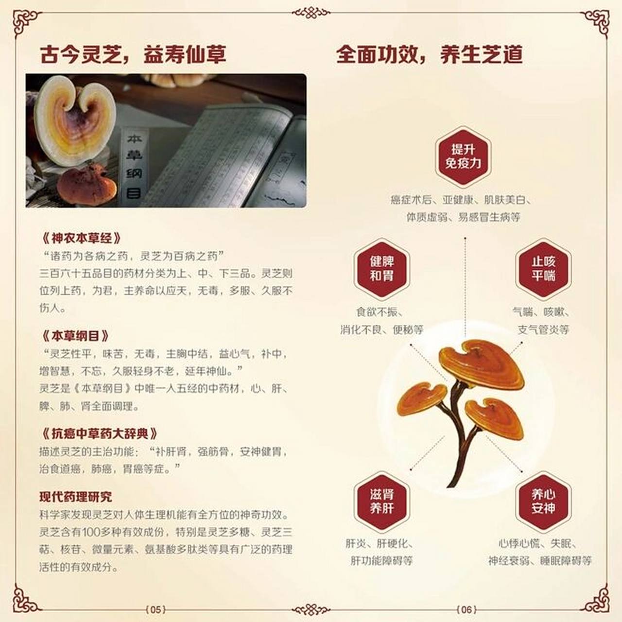 泡水 把灵芝切成小片,取5-10克清洗干净,放入杯内用开水浸泡20分钟后