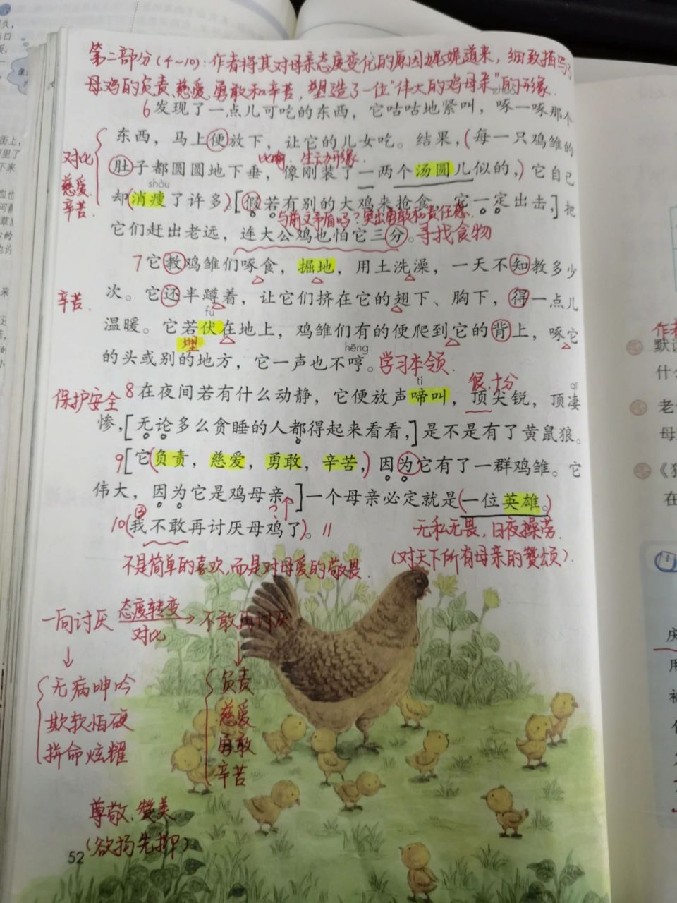 部编版四年级下语文教案笔记十四课《母鸡》 圆圈多音字 黑笔固定搭配