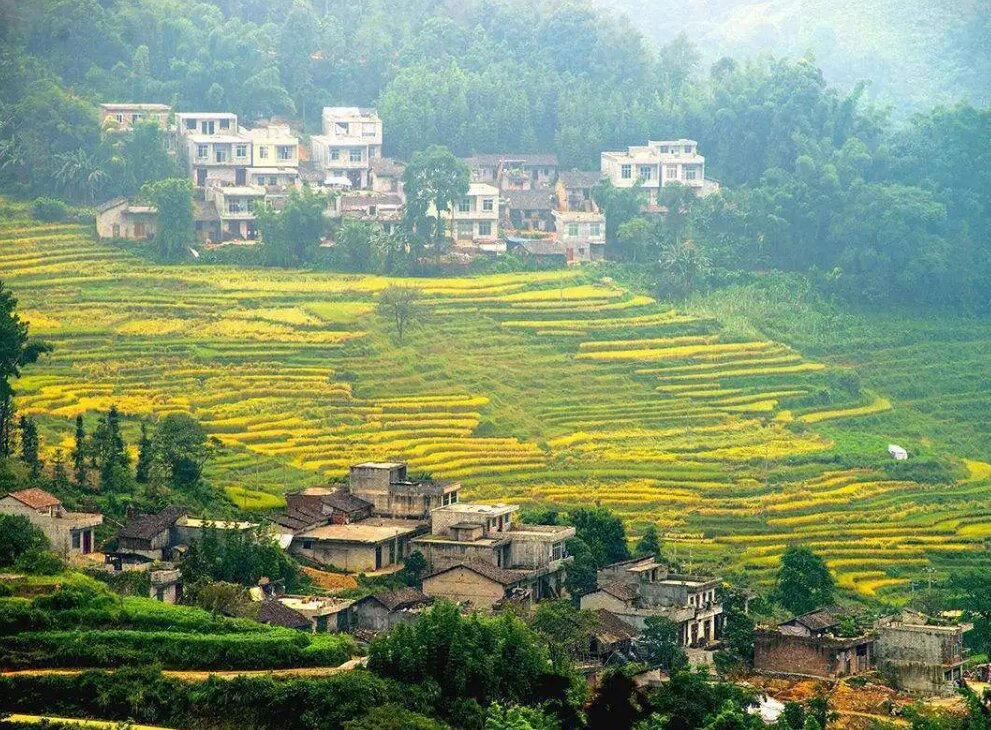 那坡县风景区图片