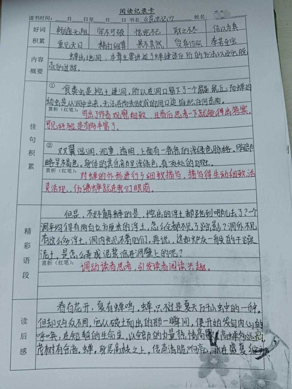 《昆虫记》蝉出地洞 螳螂捕食 《昆虫记》读书笔记