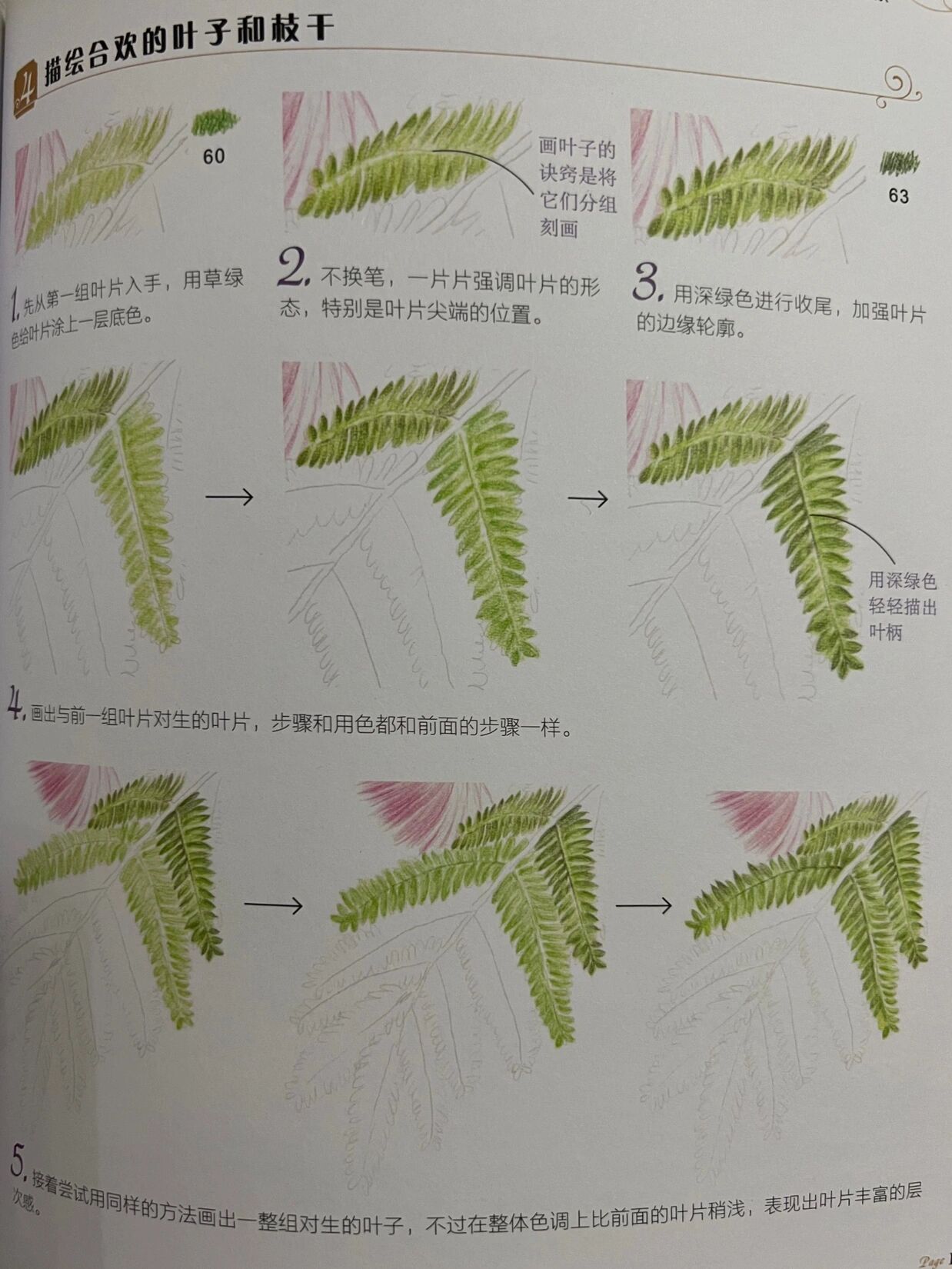 彩铅花卉——合欢花,附步骤图 合欢花语:丝丝缕缕的幸福