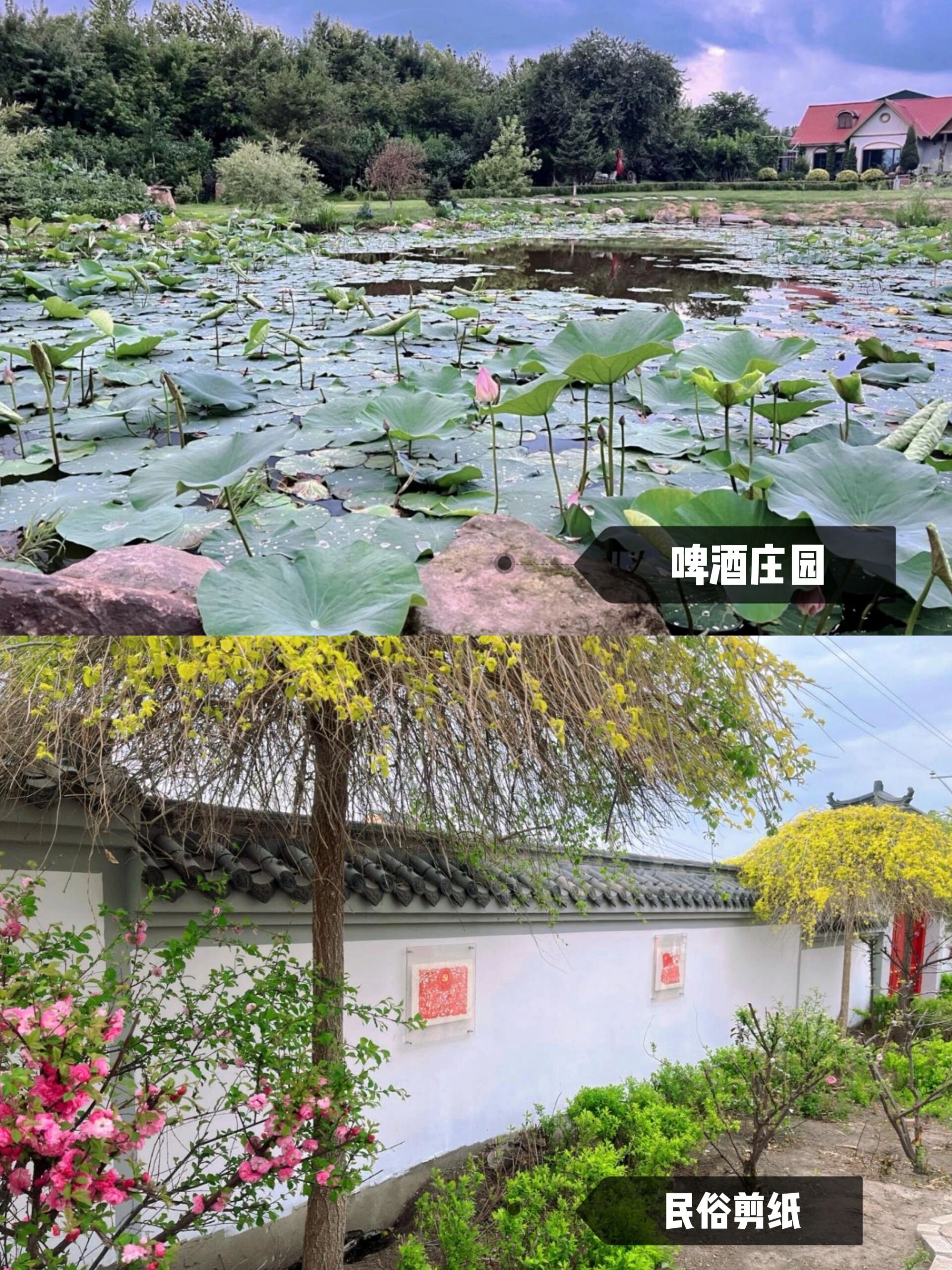 满族风情也太浓了~ 满族风情太浓了,这是走进香坊区向阳镇的第一感受
