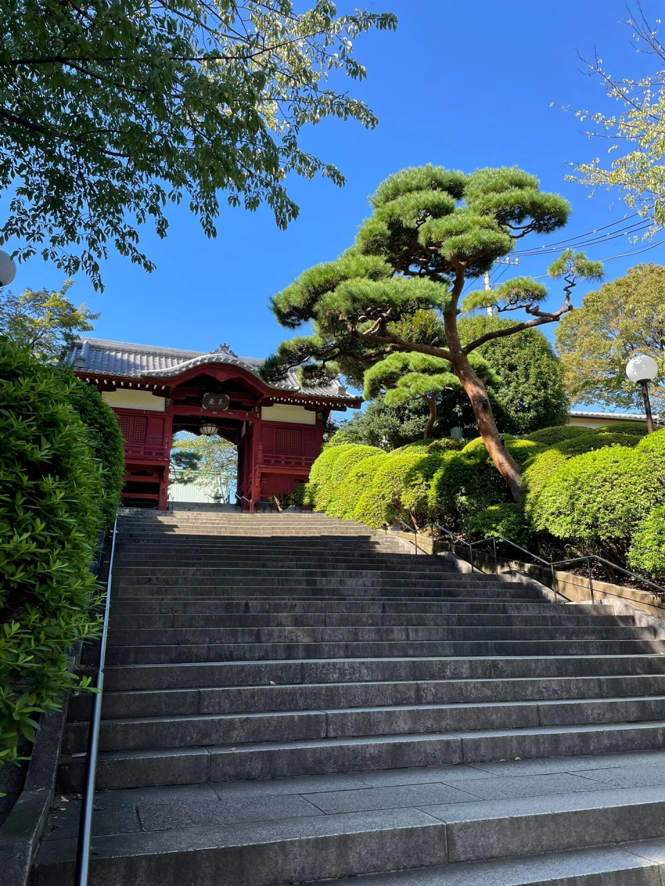 东京池袋附近的免费景点,护国寺 护国寺位于日本东京都文京区大冢