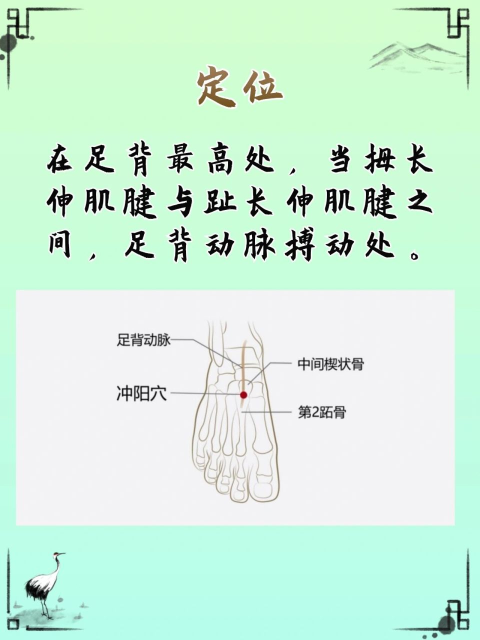 冲阳的准确位置与功效图片