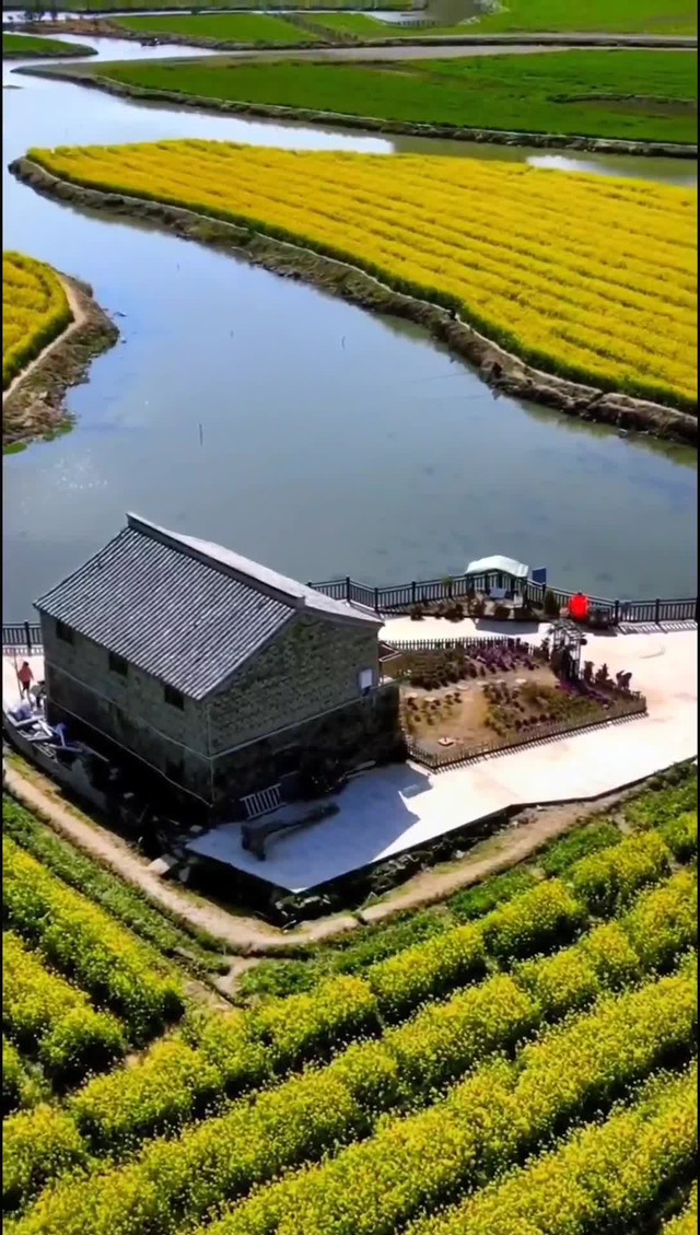 桃江十三渚油菜花地址图片