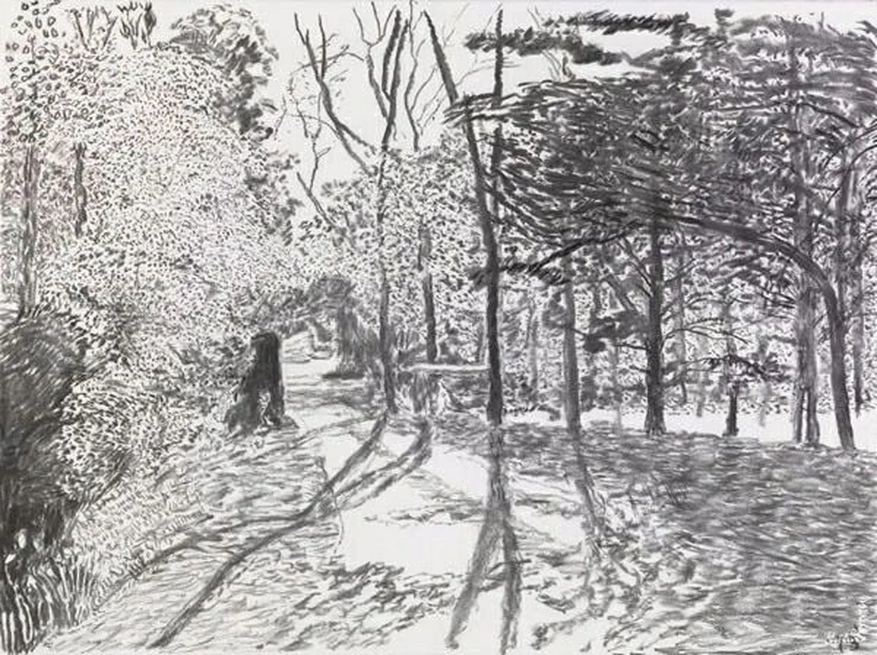 大卫·霍克尼 素描风景作品赏析 91大卫·霍克尼,1937年生于英国