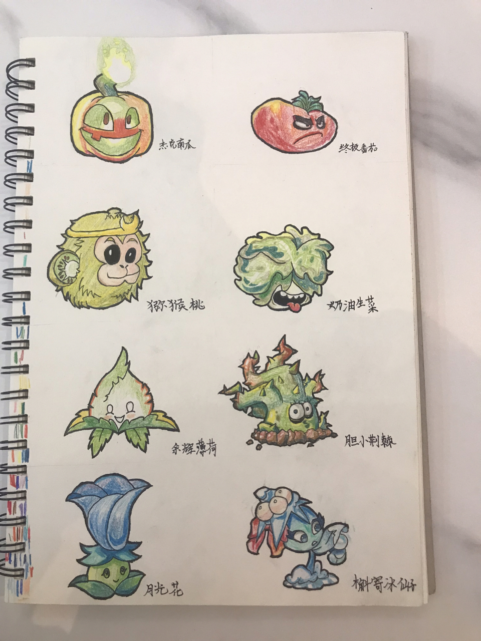 植物大战僵尸2植物绘画      新一幅画画出来了!
