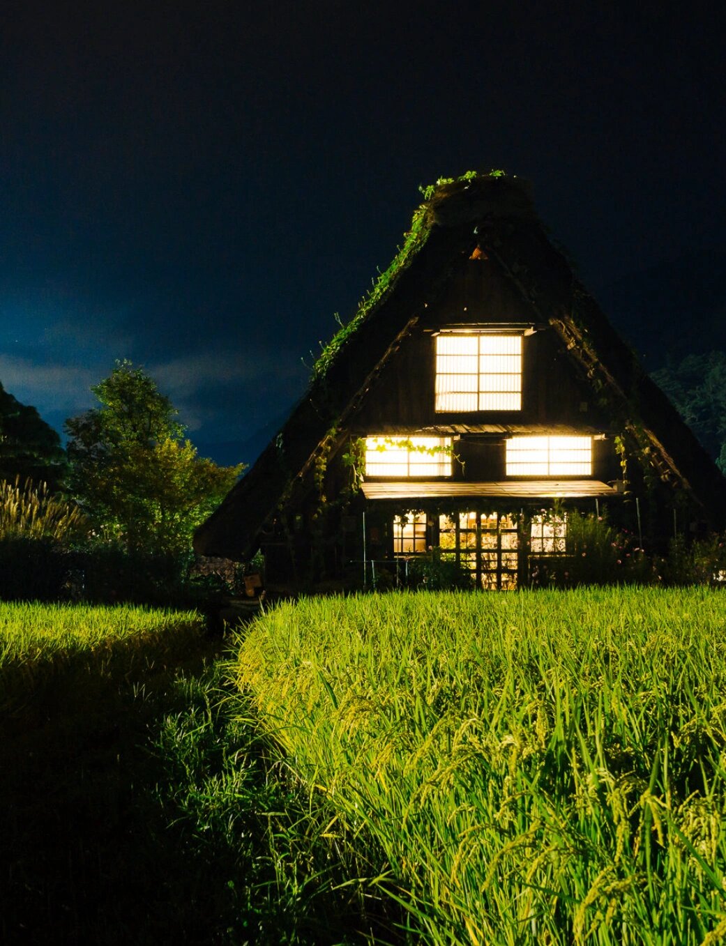 9591白川乡位于日本岐阜县西北部白山山麓,是四面环山,水田纵横