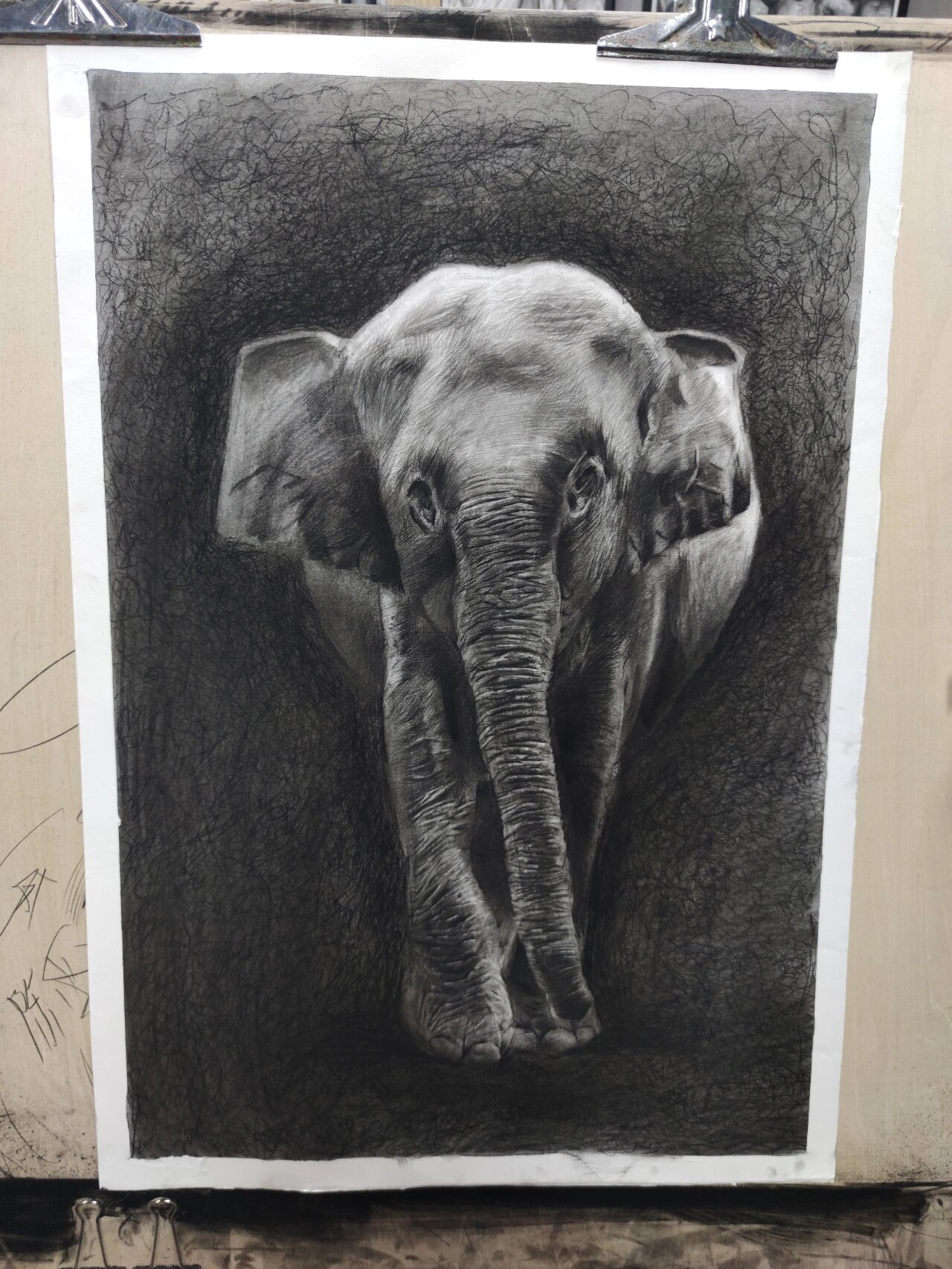 素描大象,小学界的扛把子