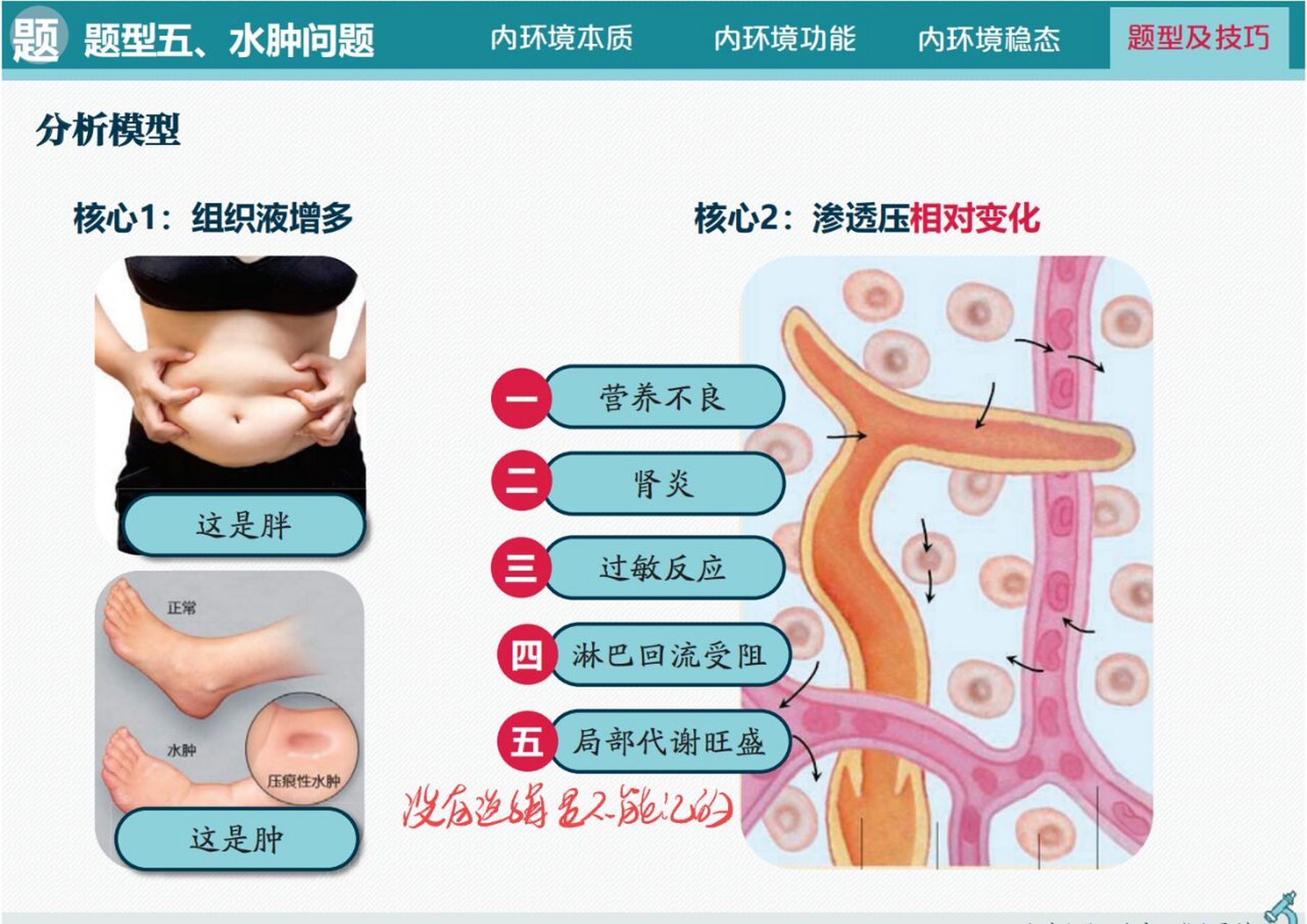 内环境的理化性质图片