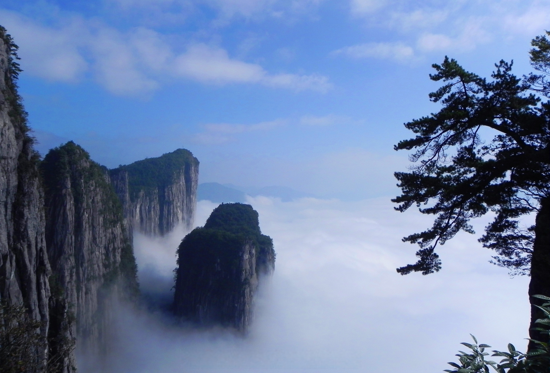 恩施大峡谷"迎客松"生长在七星寨景区的悬崖峭壁之上,历经风吹雨打