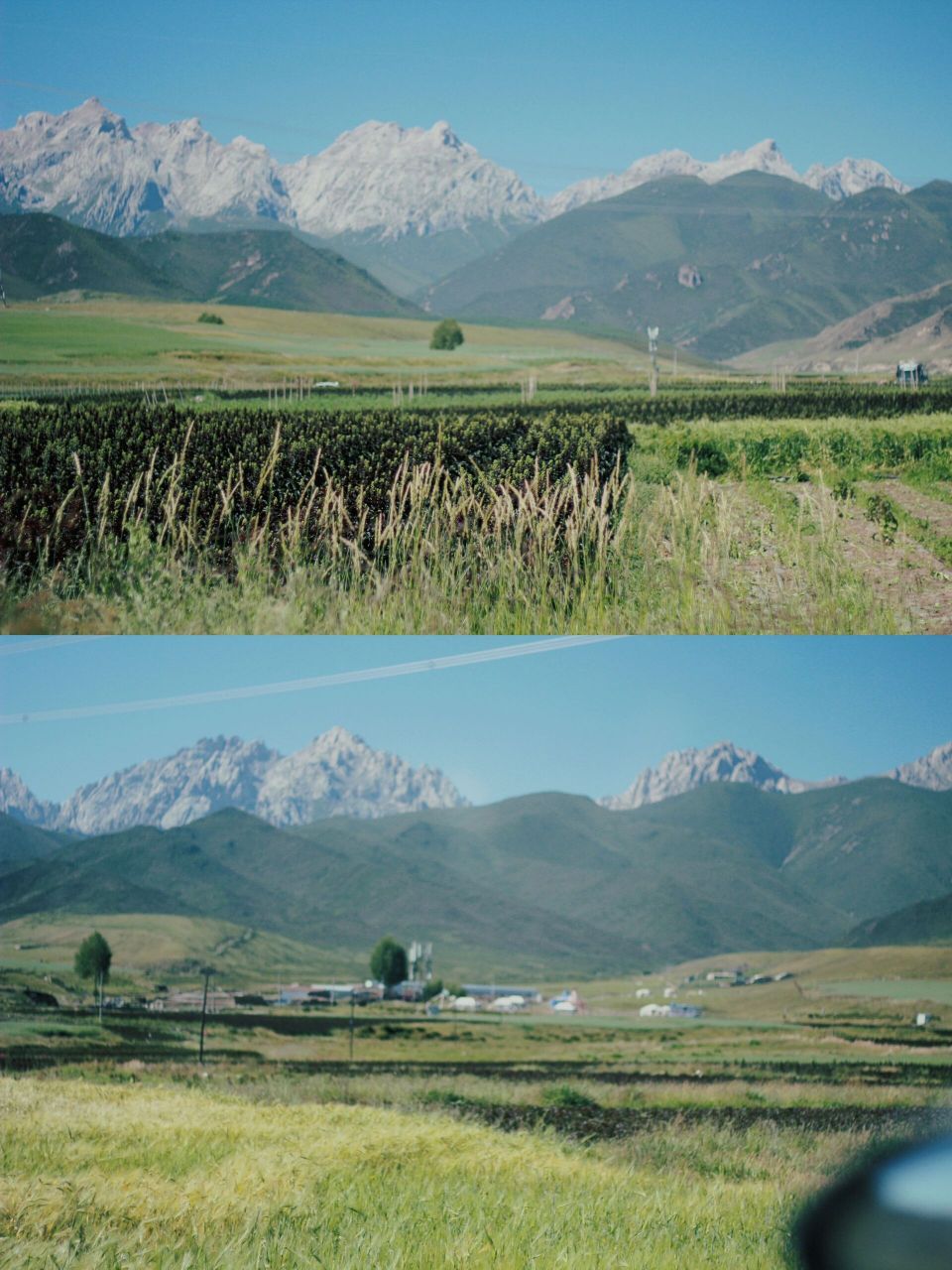 兰州周边小众雪山 9015当属马牙雪山了,位于武威市天祝县西部