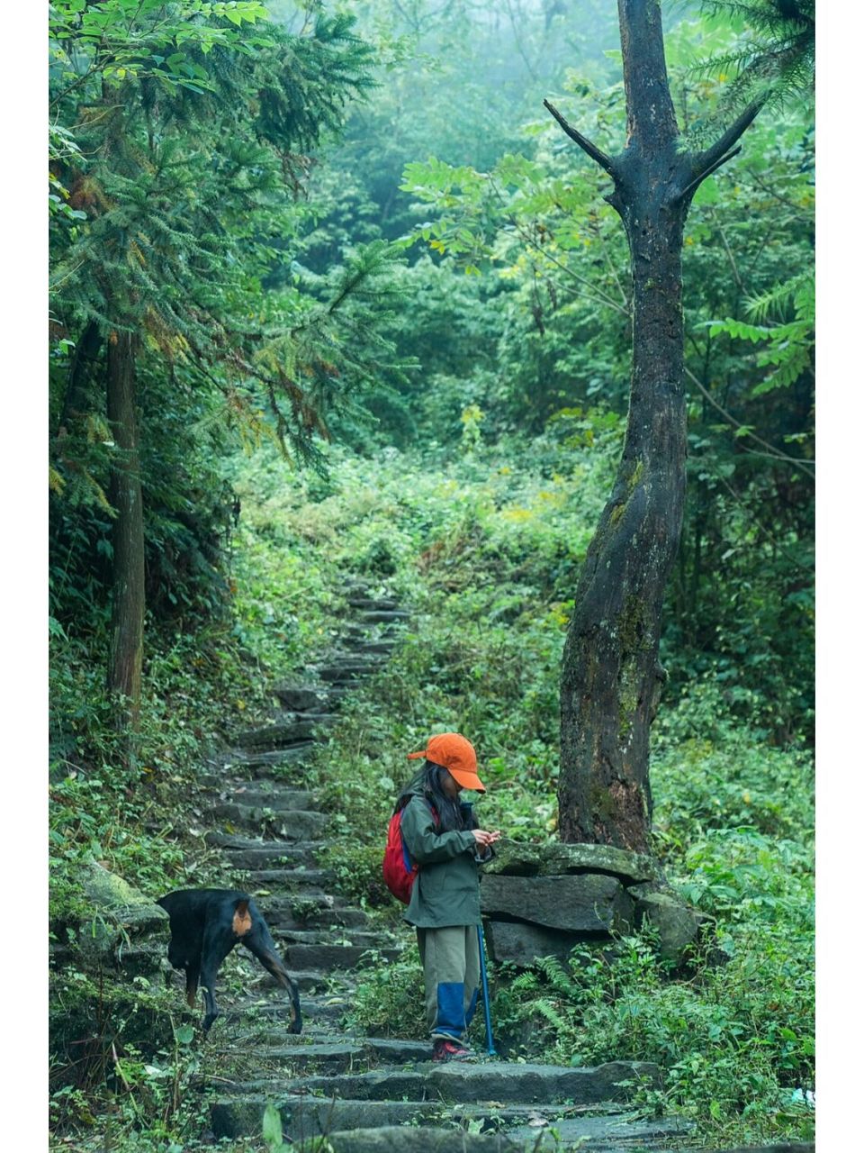 大邑雾中山徒步图片