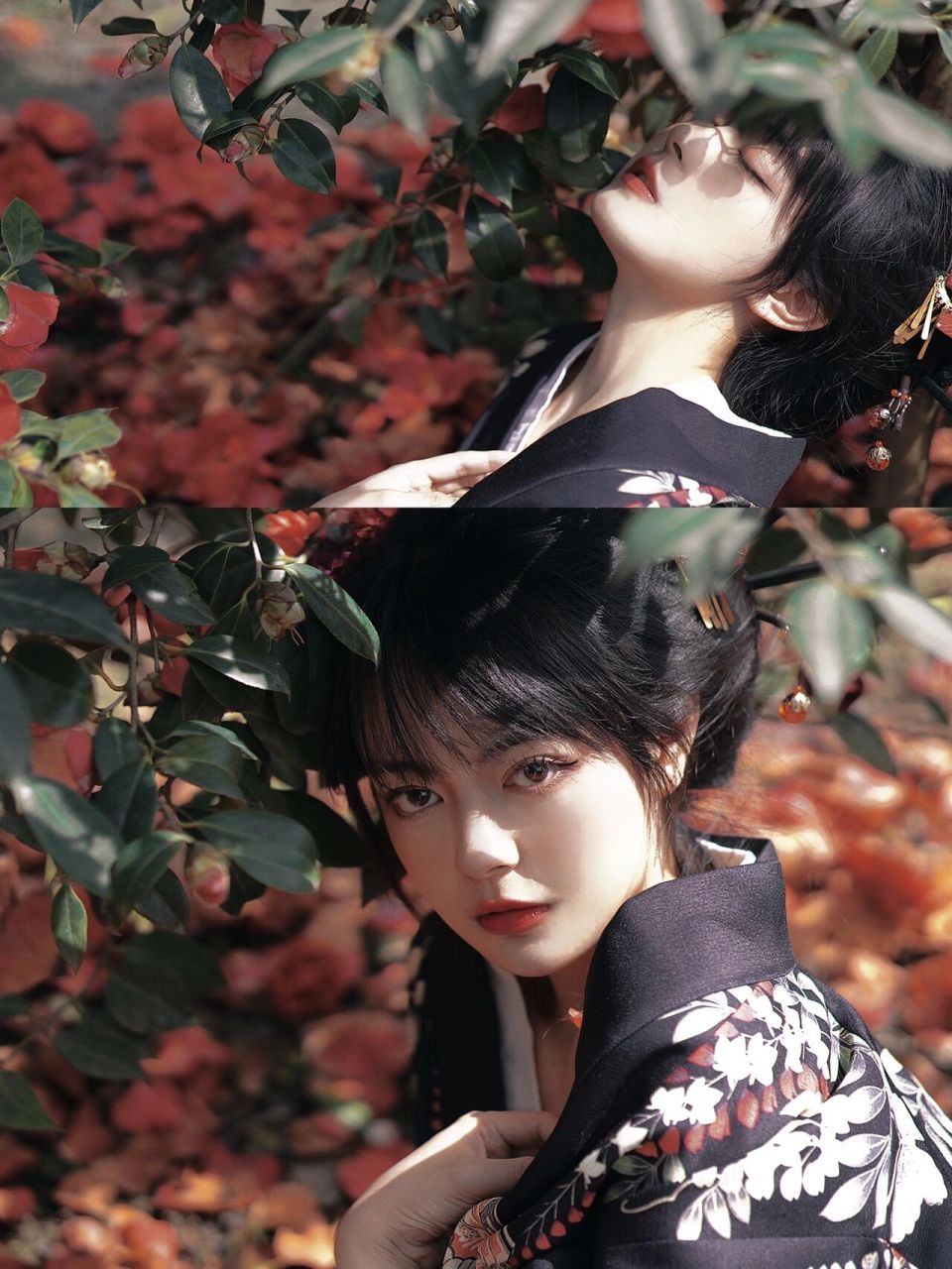 唯有你的光辉,能像漫过山岭的薄雾【山茶花】 黑色和服和山茶花就是