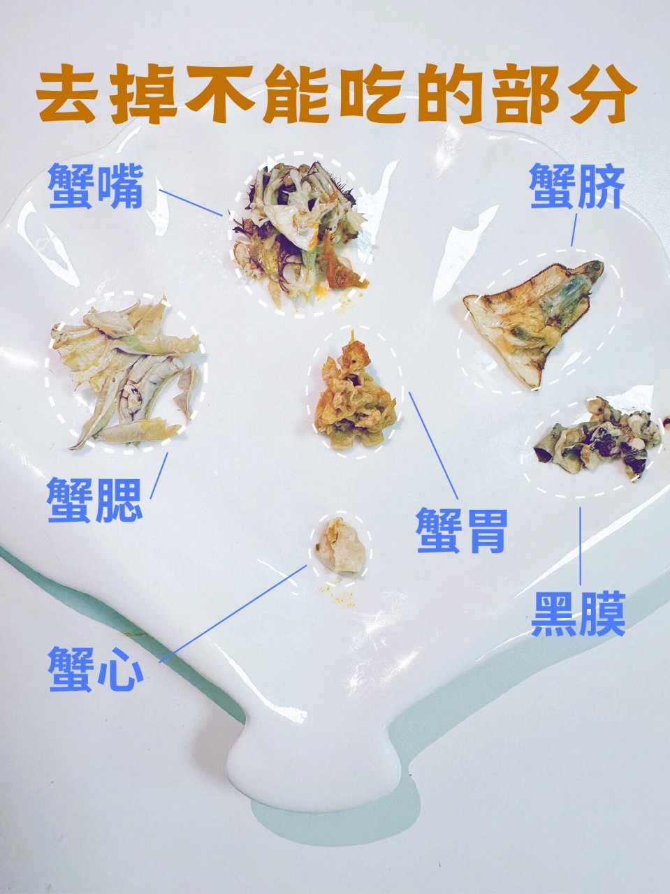 第一次吃大闸蟹 记住以下五个部位不能食用! - 1.