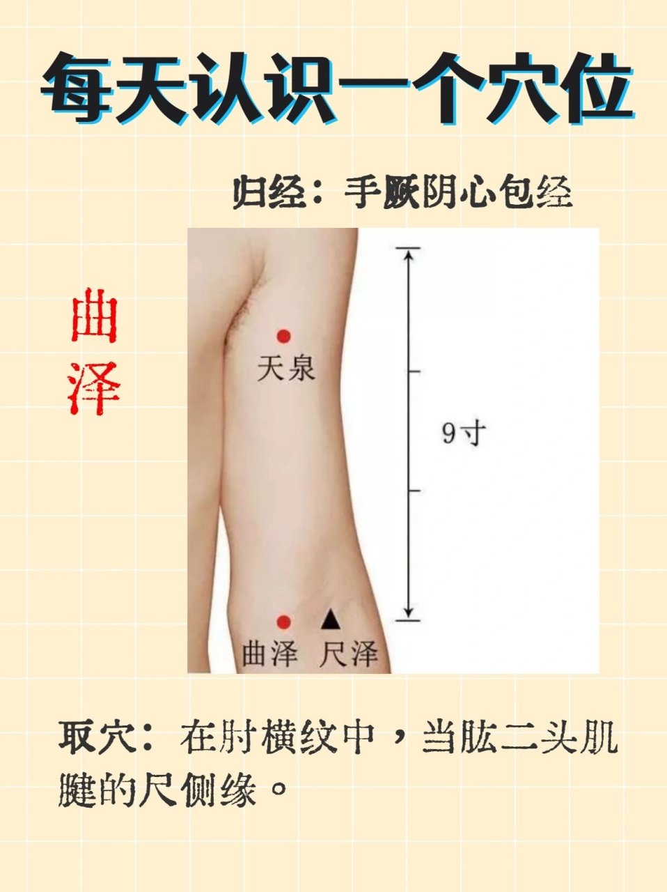 尺泽和曲泽准确位置图图片