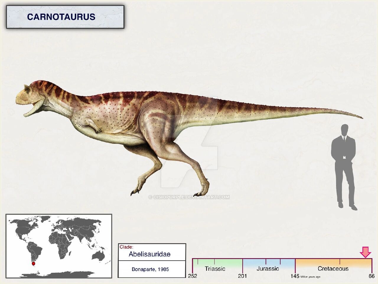食肉牛龙 萨氏食肉牛龙 carnotaurus sastrei 恐龙总目-蜥臀目-兽脚亚