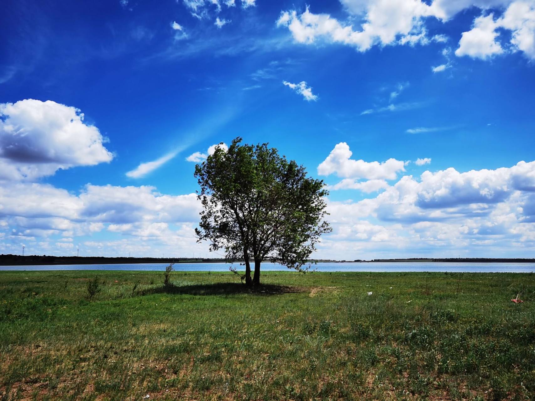 张北草原天鹅湖,美若油画!