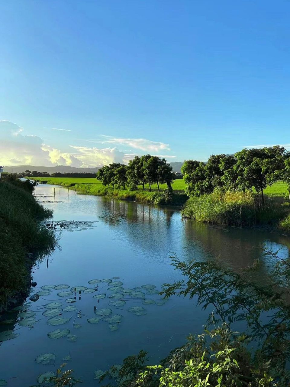 隐藏在潮阳的世外桃源-梅花湿地公园 推荐一个超棒的绝美免费的潮阳