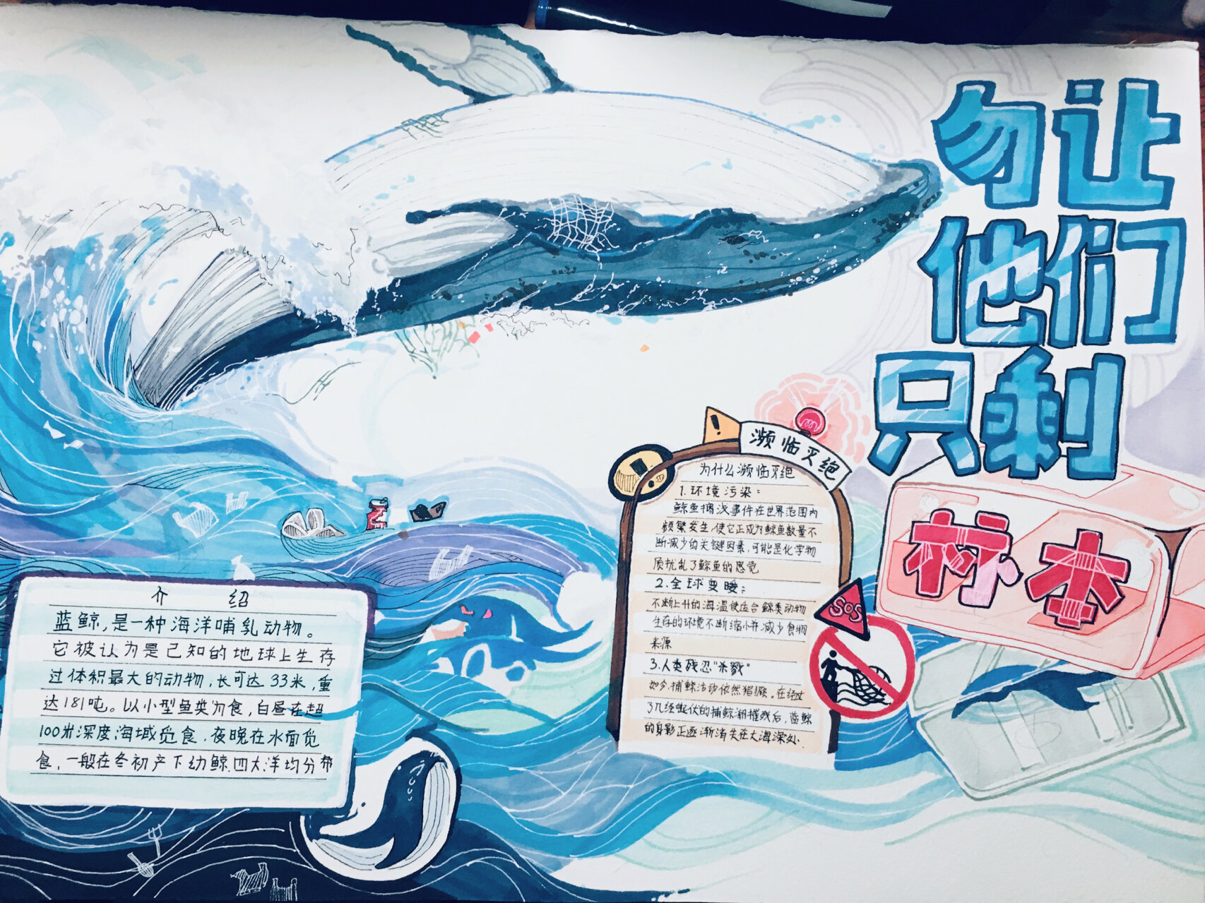 关于濒危动物的海报