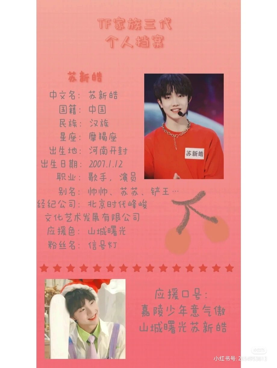 tf家族个人资料简介