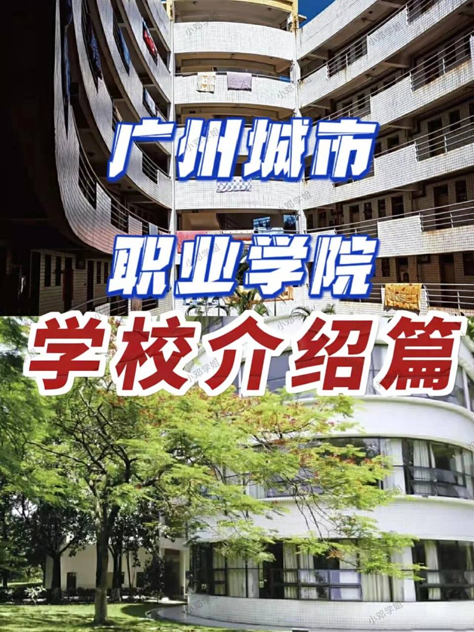 公办大专|广州城市职业学院它来啦75 一文带你了解广州城市职业学院