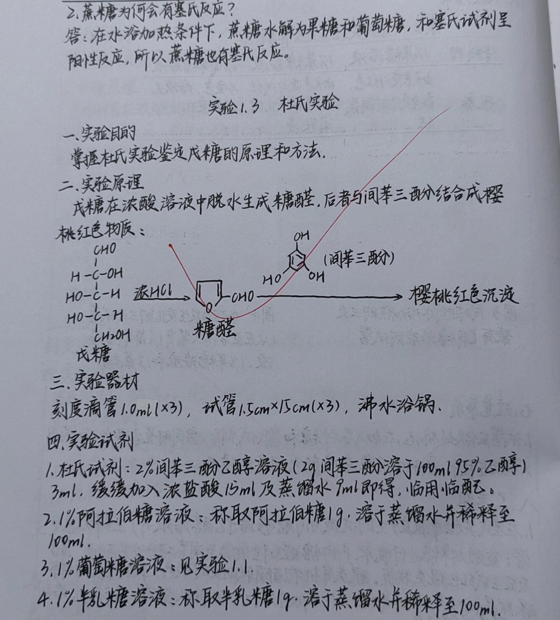 白糖结晶实验报告图片