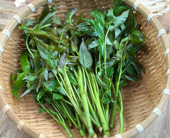 野菜们也纷纷探出脑袋,成了餐桌上的新宠儿