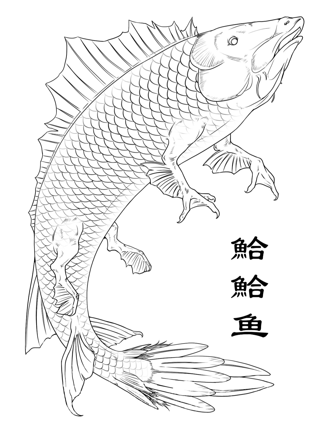 《山海经》异兽之鮯