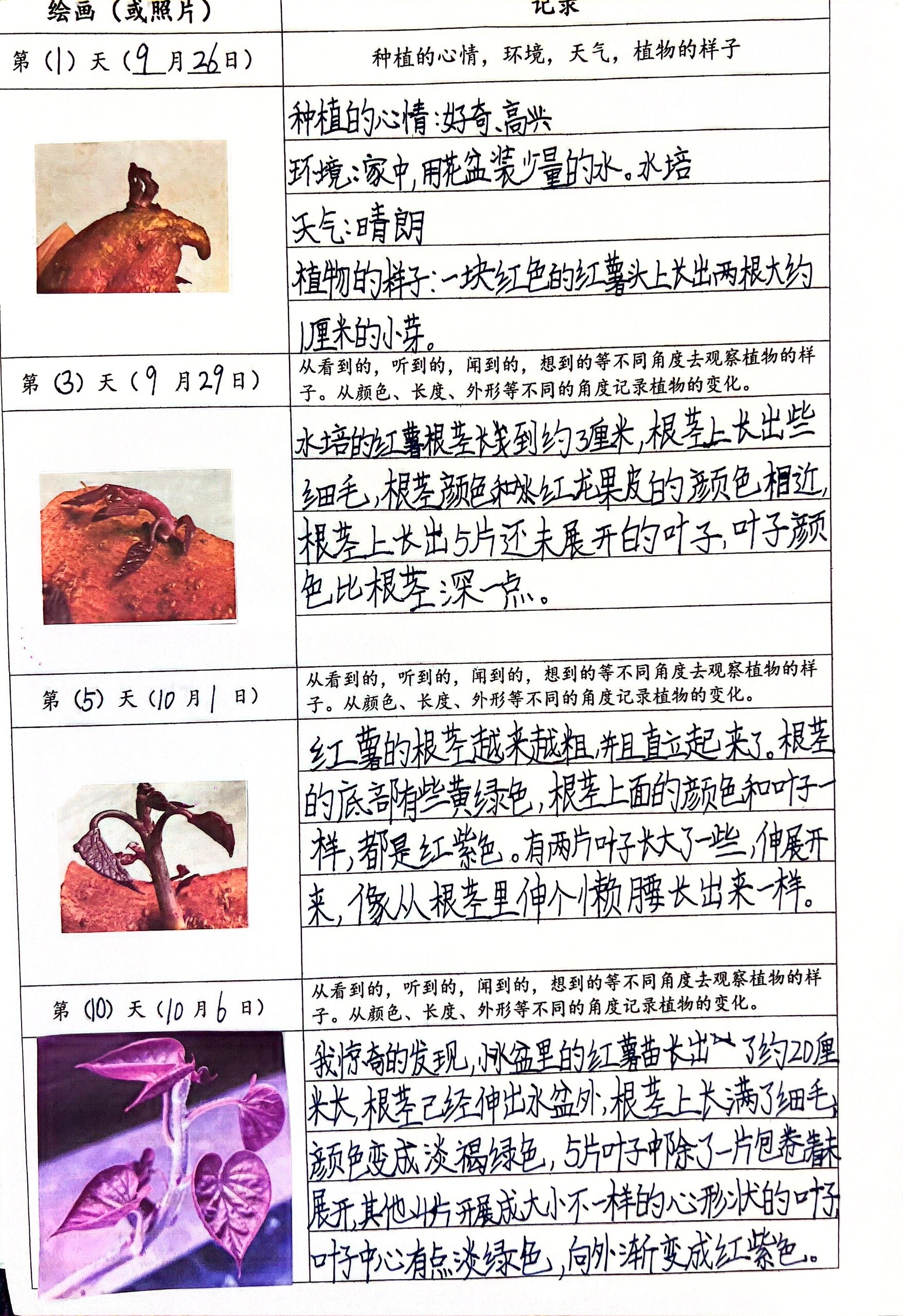 四年级上册语文第三单元观察记录表