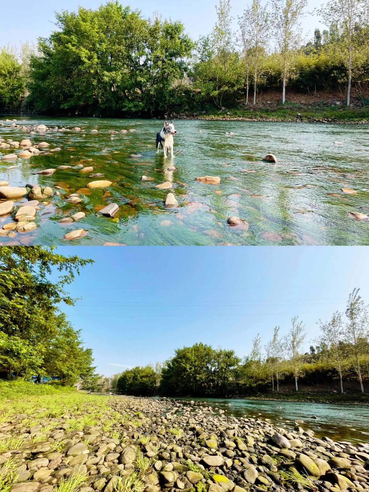 昆明周边|夏日玩水最佳地 91地点:宜良情人岛天然园 	 90收费:30