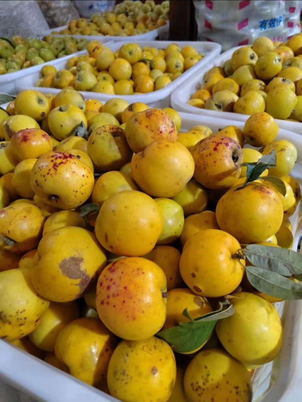 酸多依果 在云南省澜沧县有一个特别的节日——糯扎渡多依果节,多依果