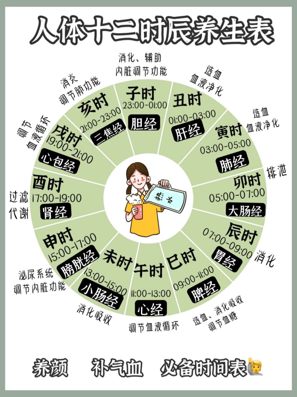 12经络运行时间表小时图片