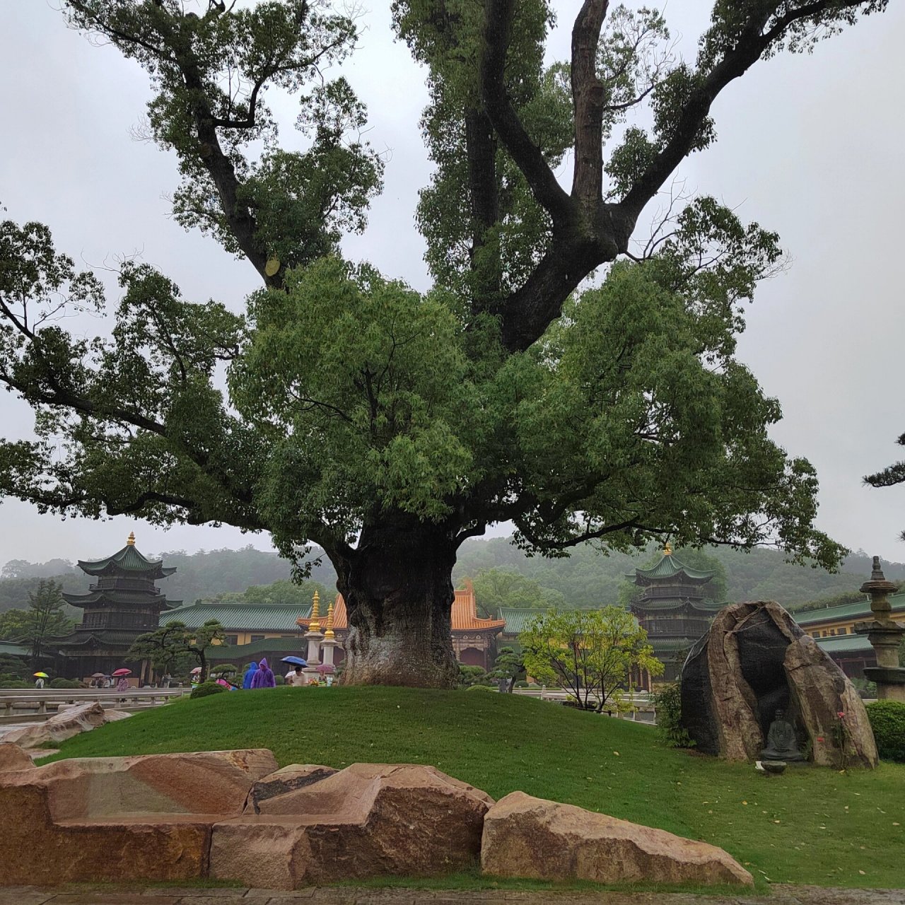 庐山东林寺 端午节期间去了庐山东林寺祖庭和净土苑: 1,如何去:我们