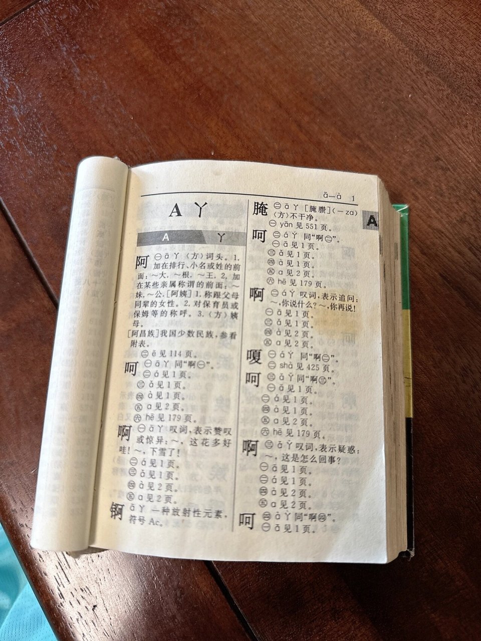 新华字典第十版第一页