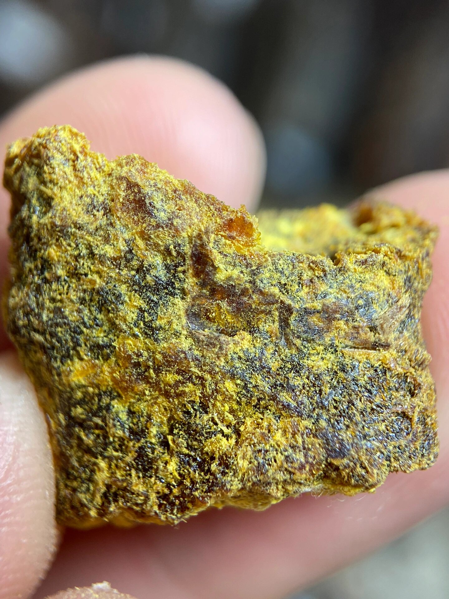 贡木沉香结晶体 高端货,机缘巧合之下寻得一根印贡沉香油脂结晶料