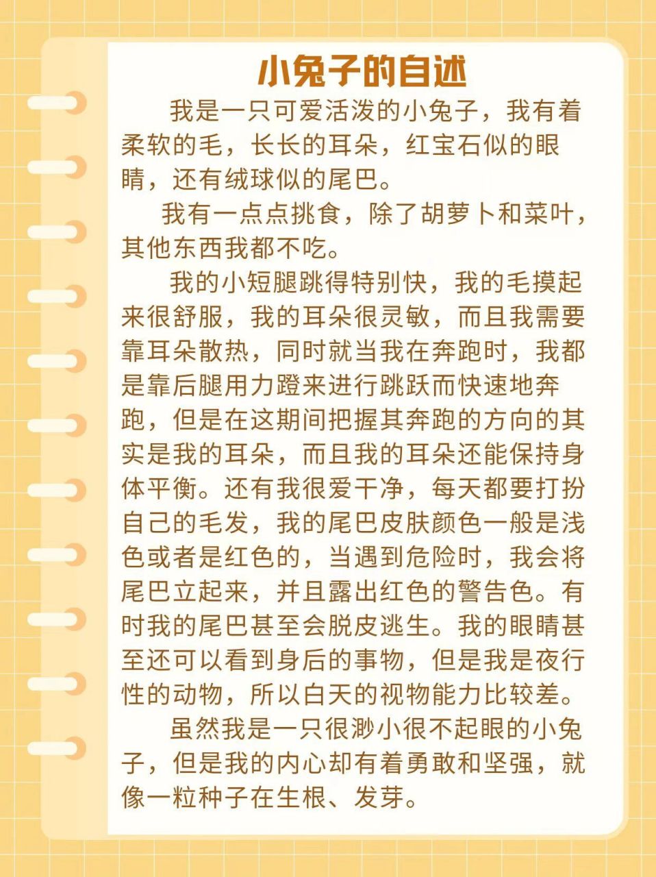 小白兔吃胡萝卜的作文图片