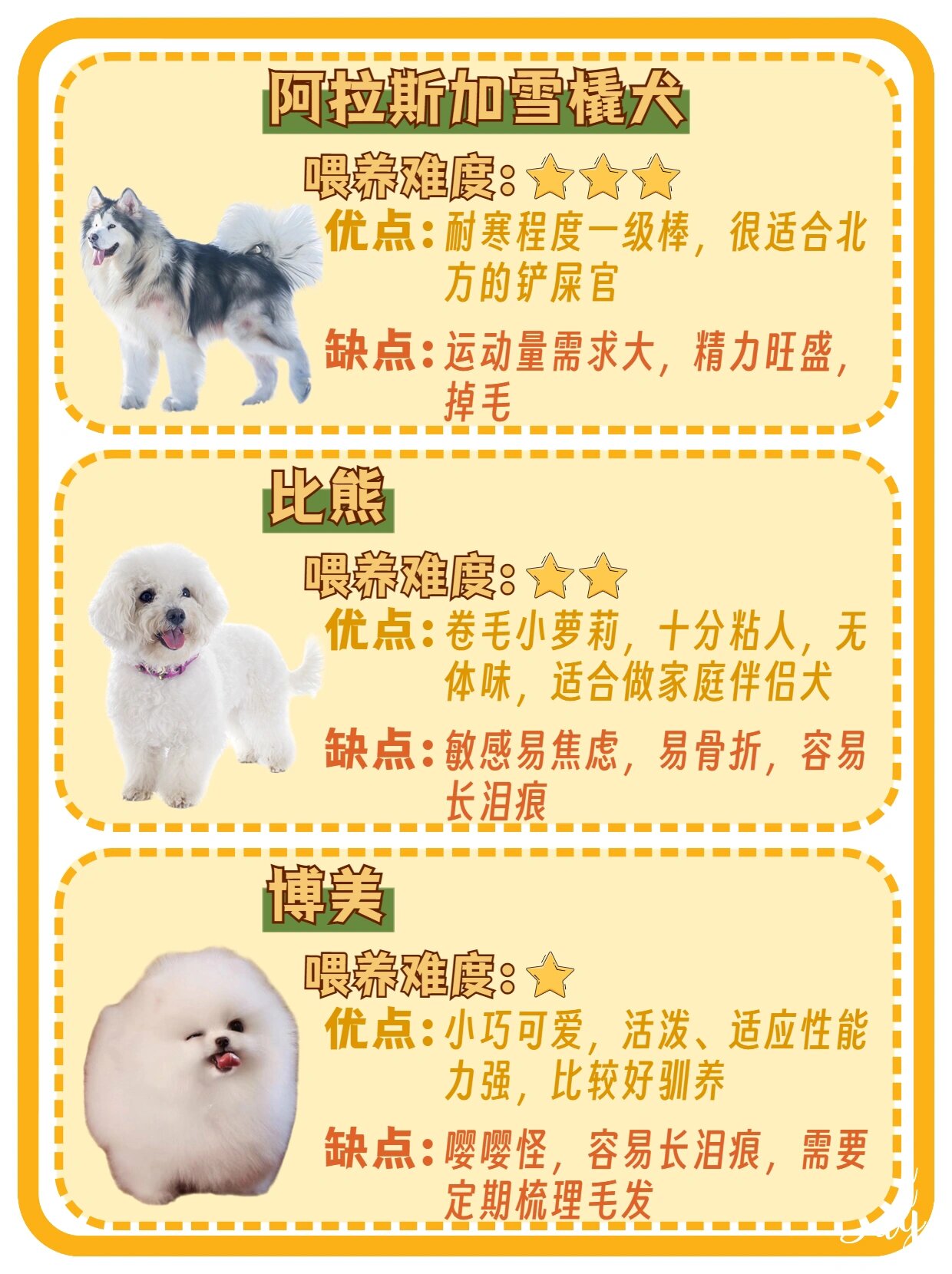1156661566种常见狗狗合集04你更pick谁71 11566