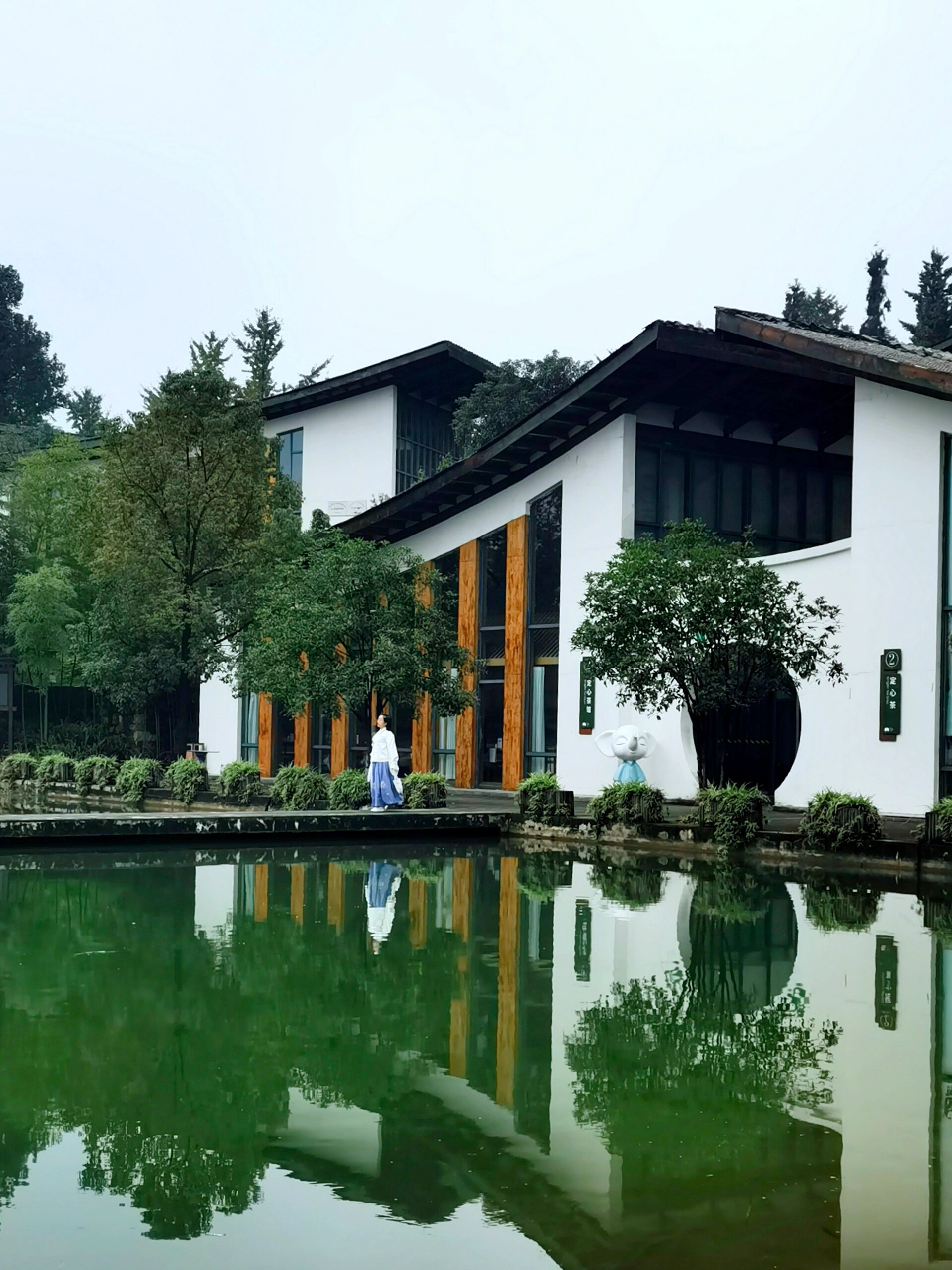 流浪重庆|巴南定心茶园,市区小众高山茶海 市区出发,一小时即可到达