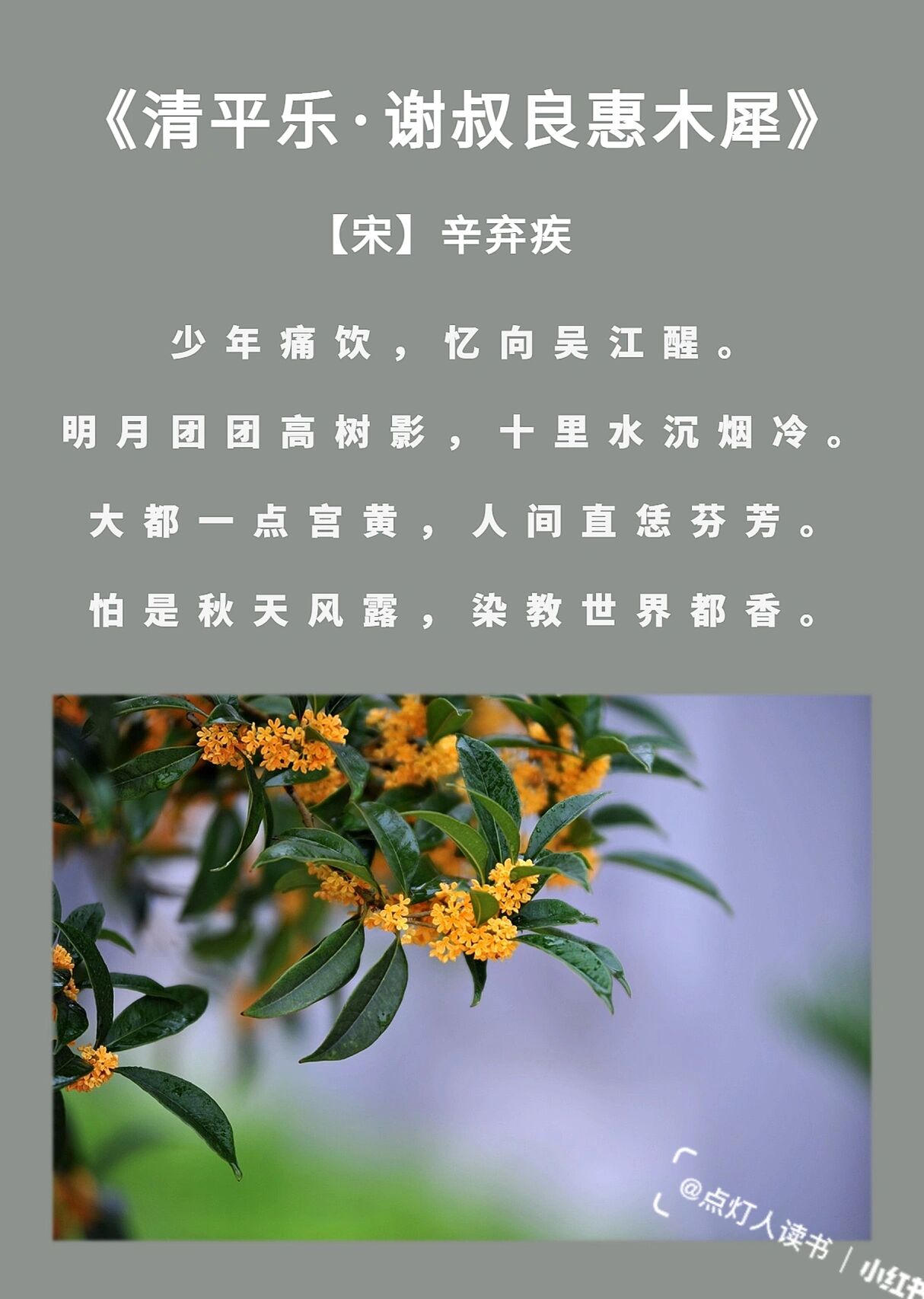 秋天桂花的诗句图片