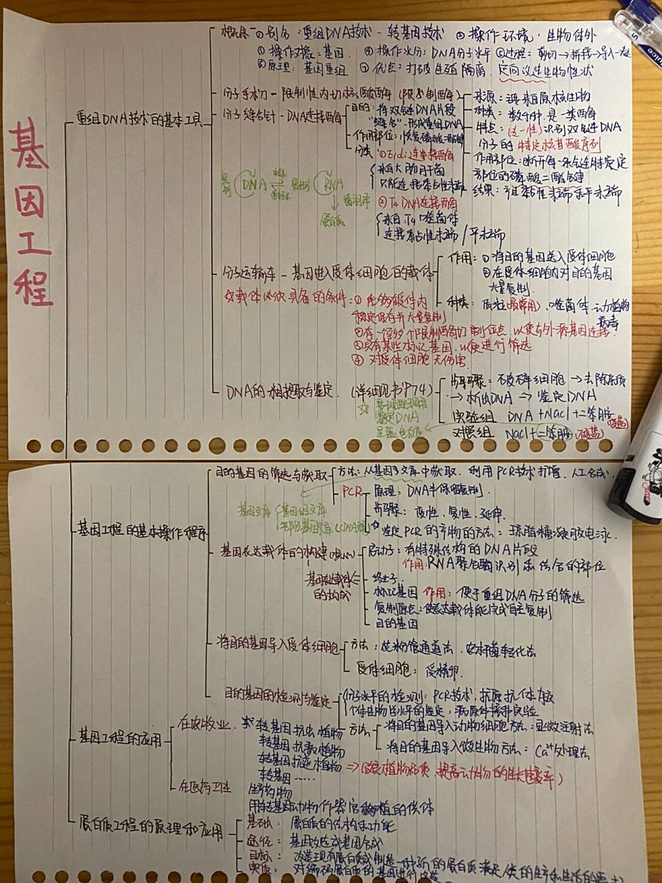 生物选择性必修三第三章思维导图   这章内容有点多97999699