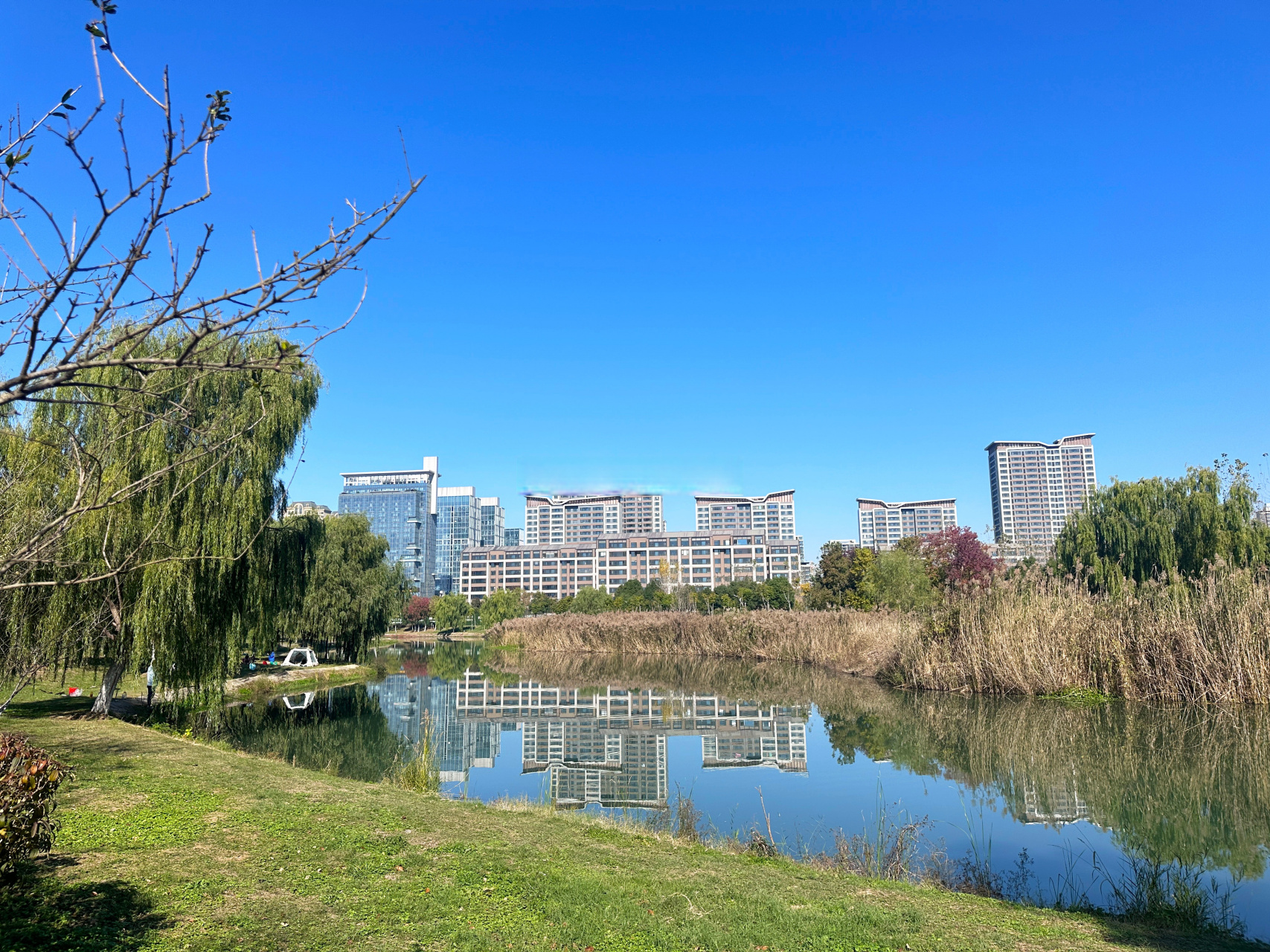包河经开区(省府北)融创滨湖湾高层视野,在省府中轴地块未建的情况下