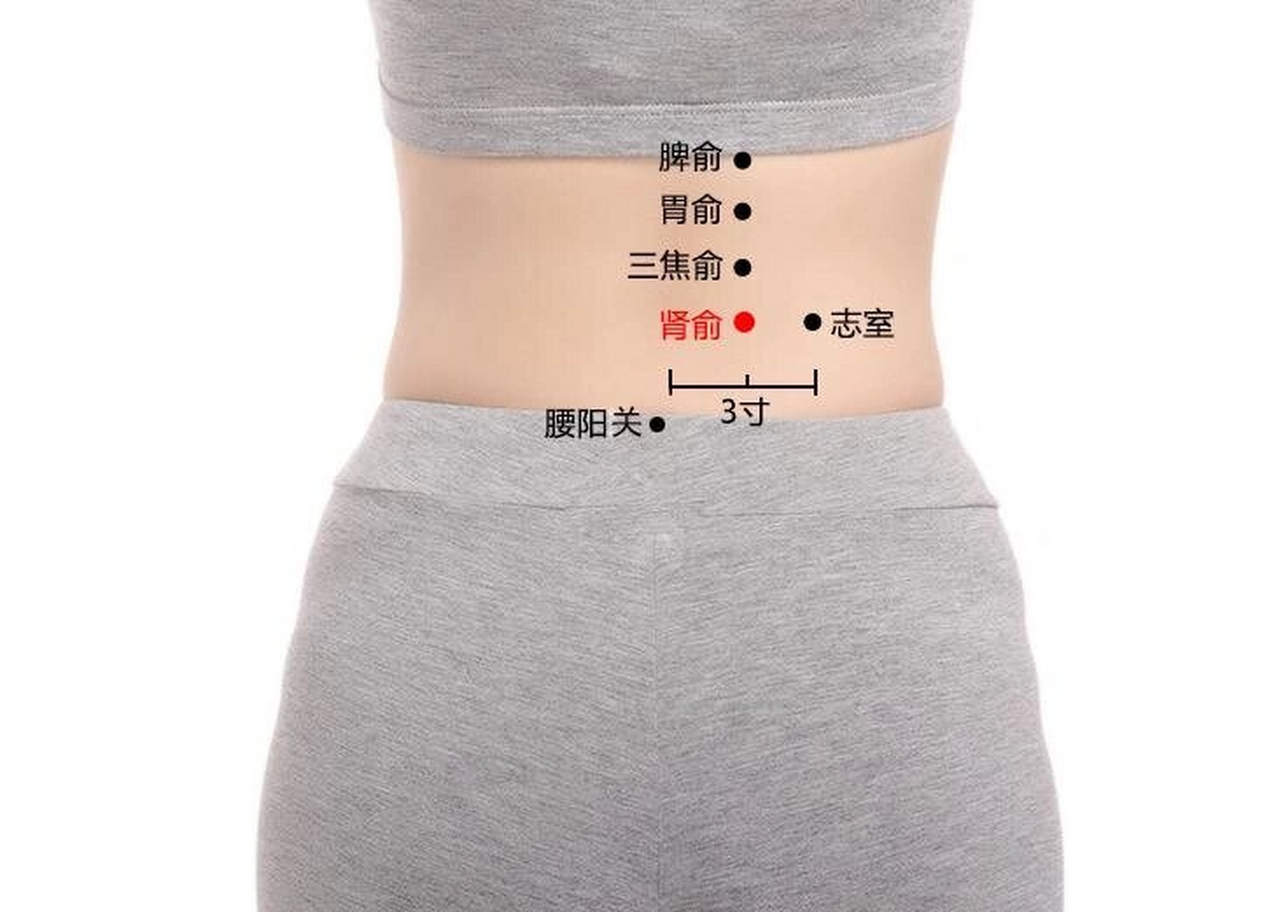 肾俞穴 肾俞穴位于人体的腰部,当第二腰椎棘突下,左右二指宽处(首先人