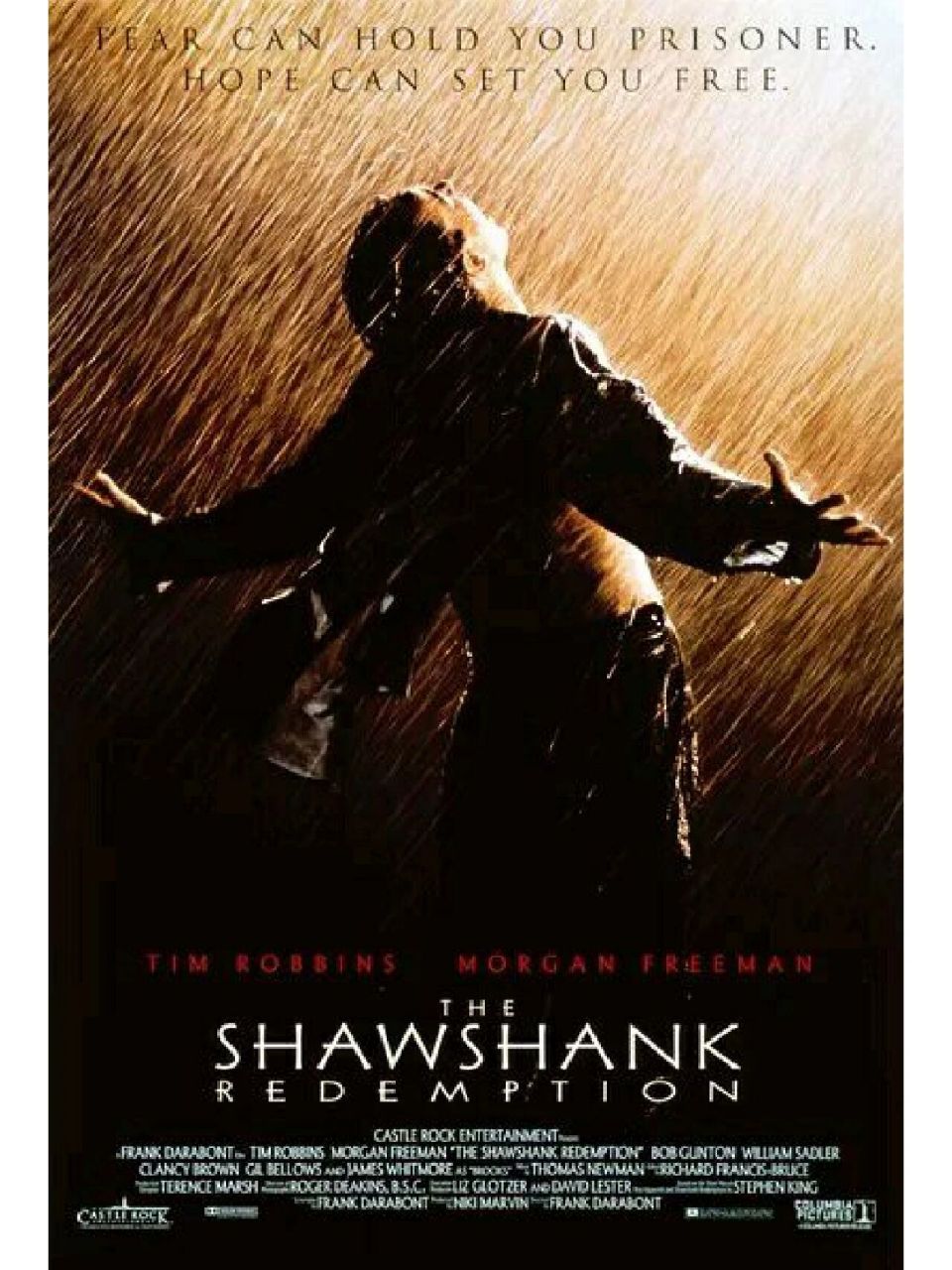 【海报鉴赏】经典百看不厌,肖申克的救赎 被冤枉,被囚禁,被剥夺自由