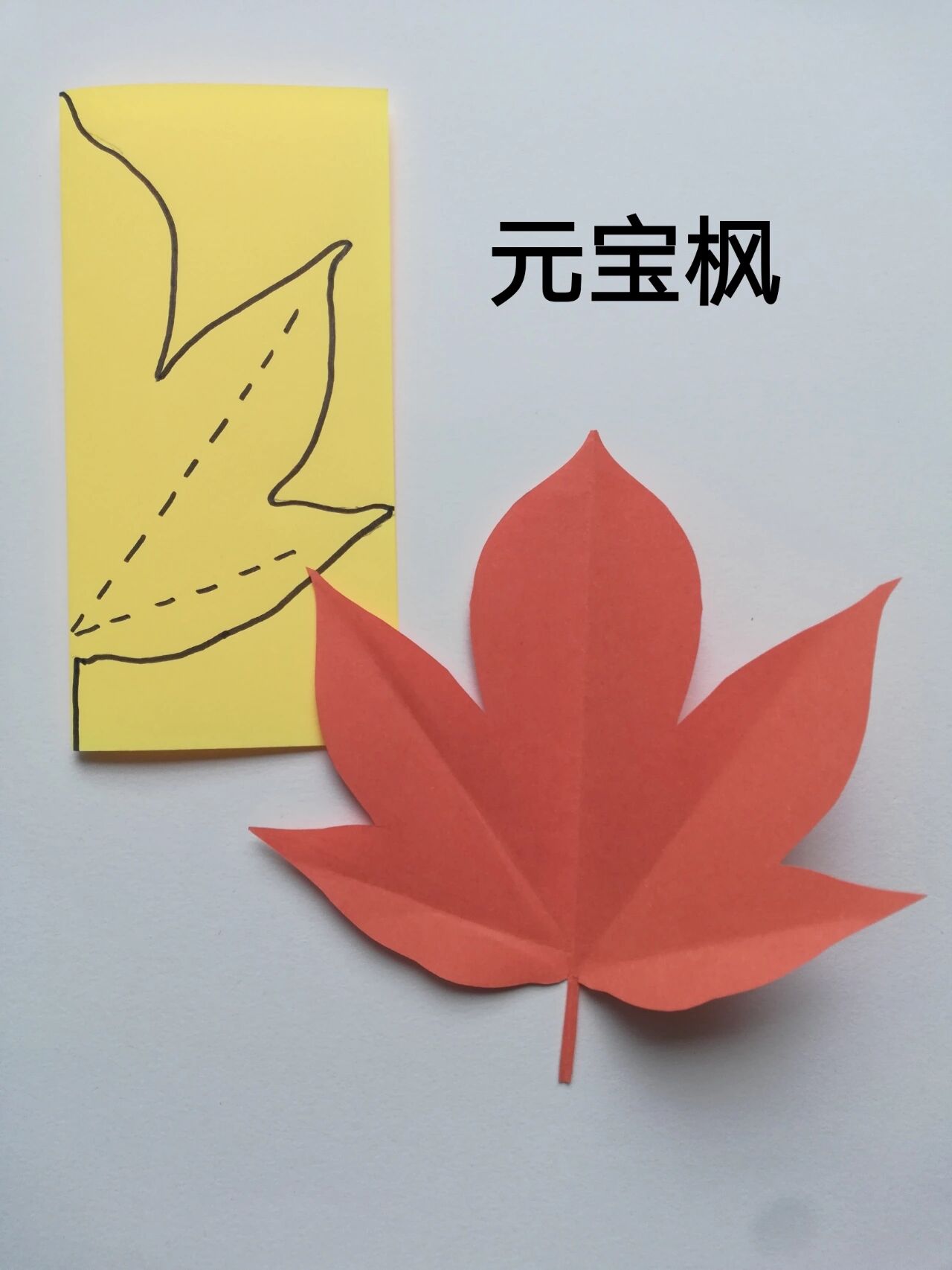 枫叶剪纸 四种不同做法 对边剪纸 简单手工