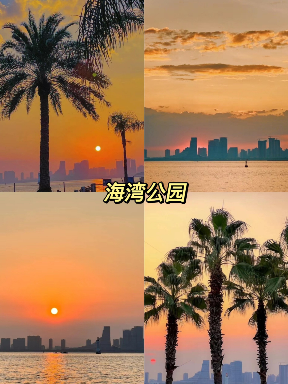 廈門看海計劃|廈門的浪漫,看海佔一半7815 一起來20°的冬天看海