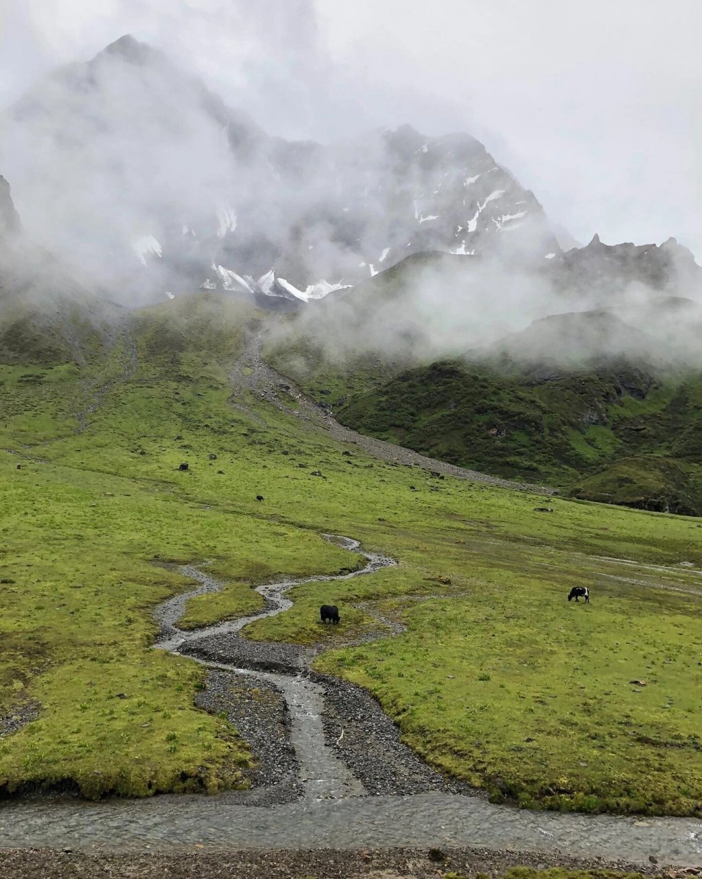 扎日神山地图图片