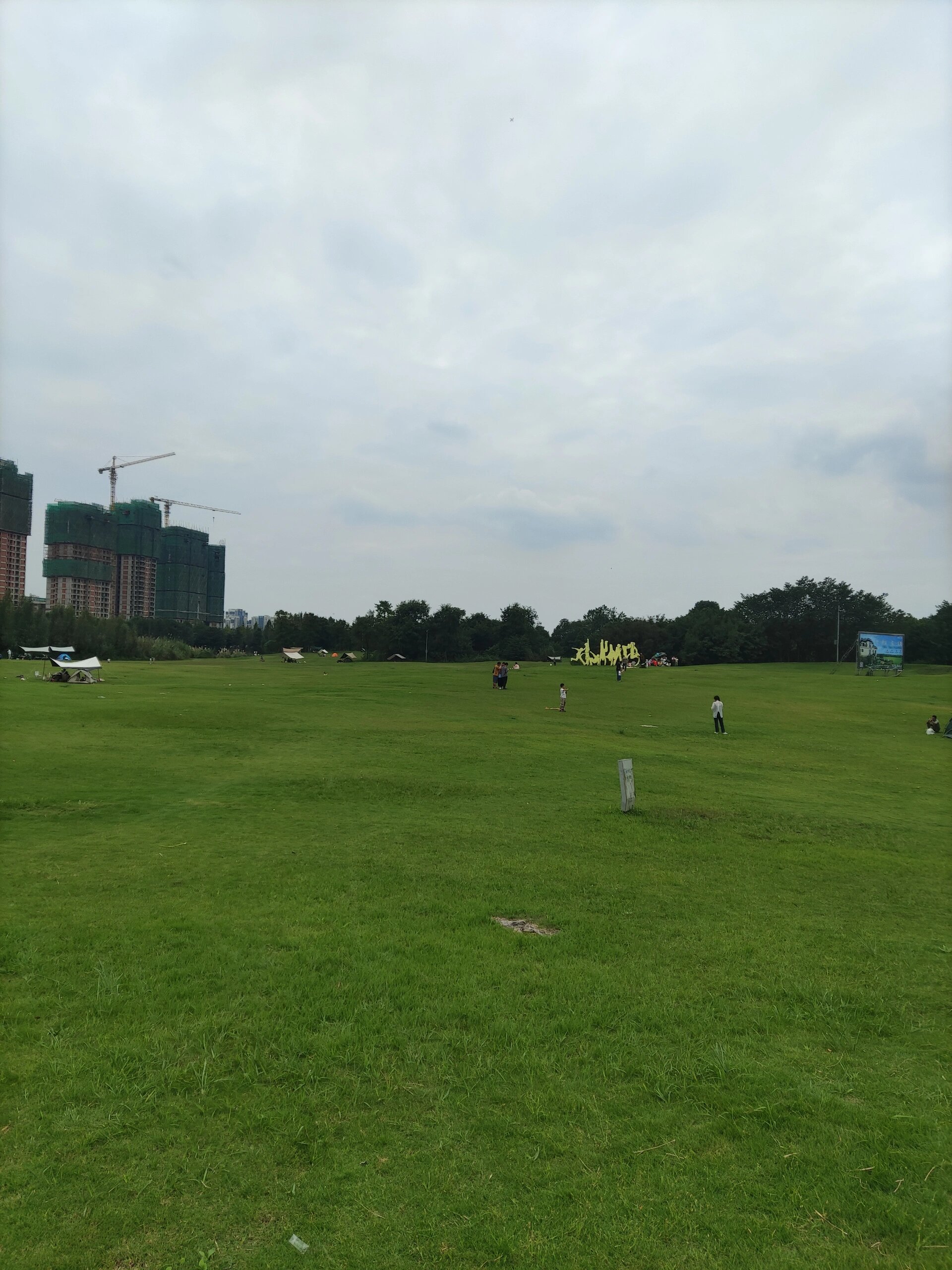 羊马湿地公园 7515羊马湿地公园是我最喜欢的公园,去了很多次了.