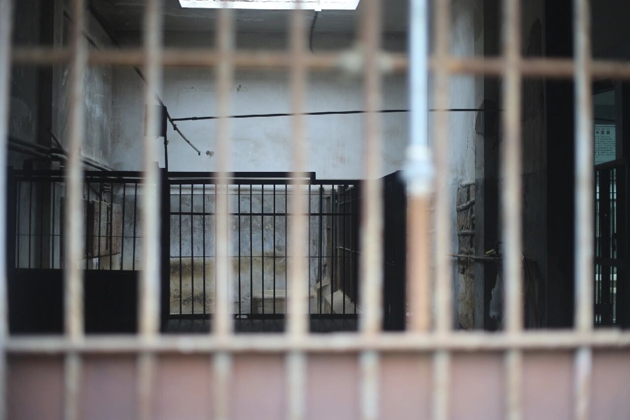 诸多不文明现象的出现,导致笼子越来越密集,隔离带拉远了和动物的距离