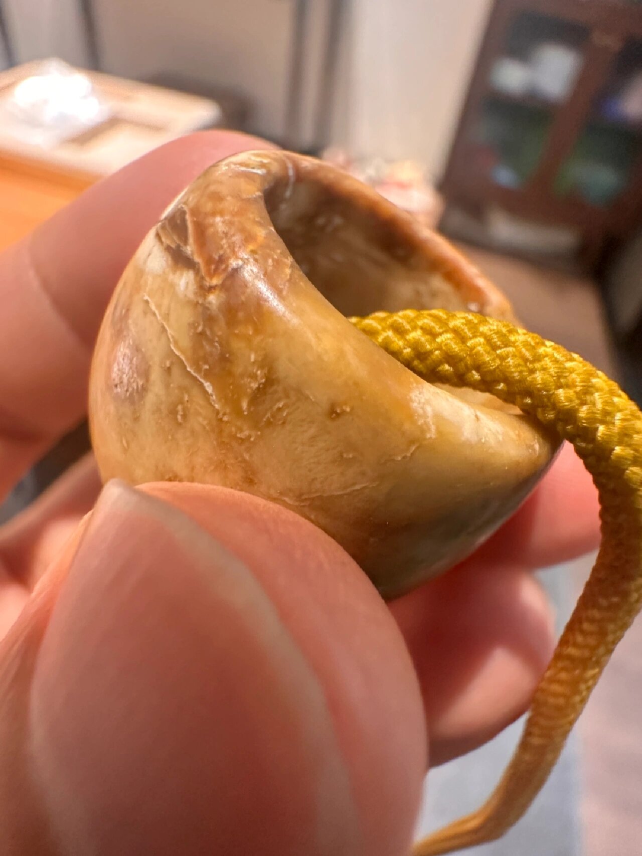 有人说地摊货,有人说是五千年前红山文化玉